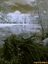 beaver dam