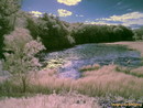 resvcove