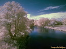 blue creek