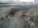 wild beach